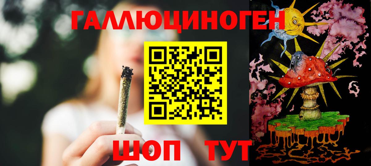 Галлюциногенные грибы Psilocybe Минеральные Воды